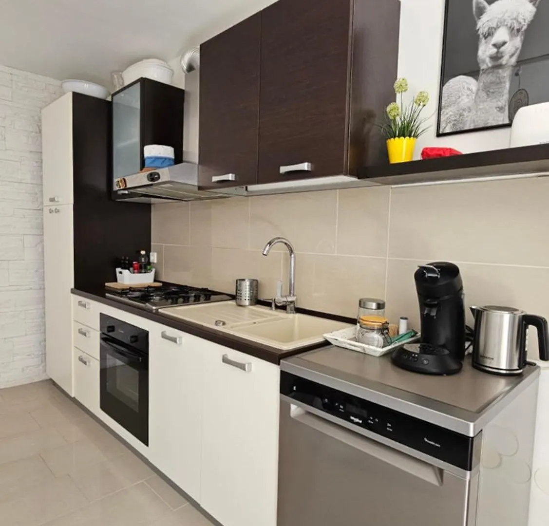 Vacation Home With Garden Povljana Apartment